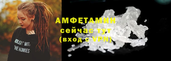ГАЛЛЮЦИНОГЕННЫЕ ГРИБЫ Вязьма