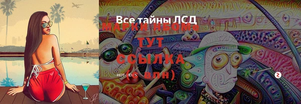 гашик Сясьстрой