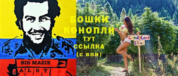шишки Тавда