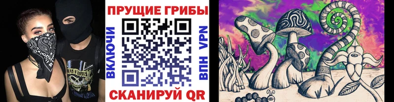 Галлюциногенные грибы мицелий  omg зеркало  Дмитровск 